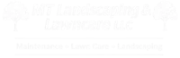 logo blanco